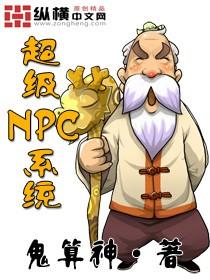 Npc系统