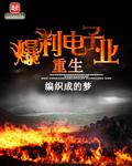 重生爆利电子业无错版