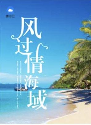 风过情海城顾乔薄砚祁