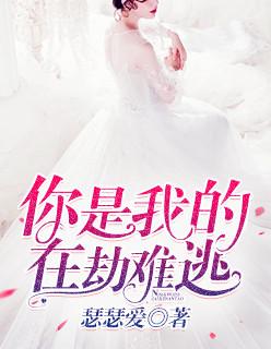 你是我的在劫难逃短剧免费版