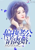 偏执老公离婚吧华月TxT