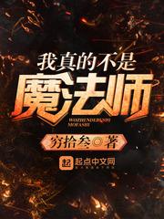 我真的不是魔法师免费阅读