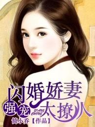 闪婚娇妻太迷人简小乔