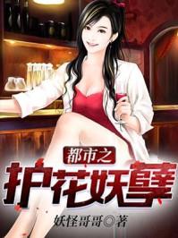 都市之护花妖孽有几个女主