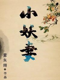 夫君是未来大魔王怎么办?师无命结局