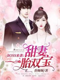 BOSS来袭甜妻一胎双宝txt