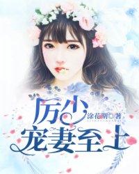 厉少宠妻至上完整版