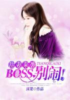 boss别闹广播剧cv