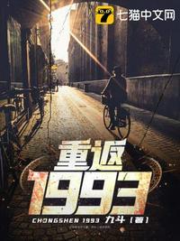 重返1993第二部电视剧免费观看全集