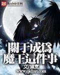 成为魔王的代价