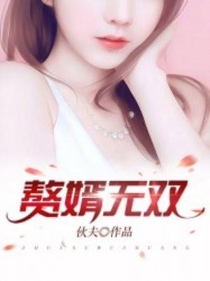 赘婿无双2