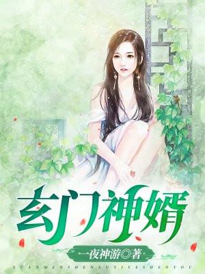 玄门神婿视频解说