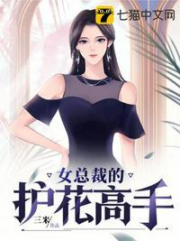 女总裁的护花高手女主