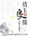 沐玉良缘gltxt