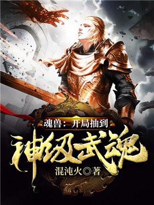 斗罗无限抽奖系统(魂兽开局抽到神级武魂)混沌火