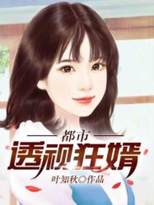 都市透视狂婿完结