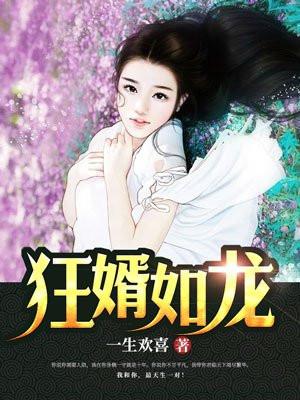 狂婿如龙陆叶全文