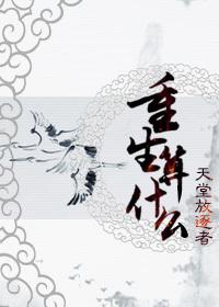 重生算什么释沣