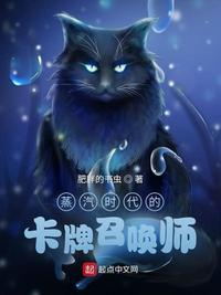 蒸汽时代的卡牌召唤师起点