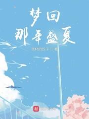 梦回那年盛夏无错