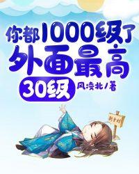 你都1000级了外面最高30级 漫画