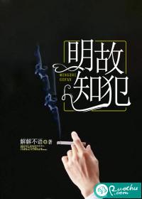 明知故犯歌词