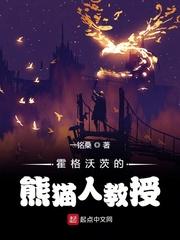 霍格沃兹的熊猫人教授txt