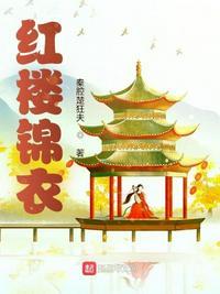 35. 红楼之锦玉