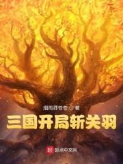 三国志战略版关羽最强阵容