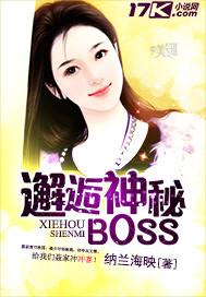 邂逅神秘bossTXT