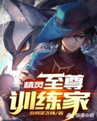 精灵训练师至尊15需要多少钱