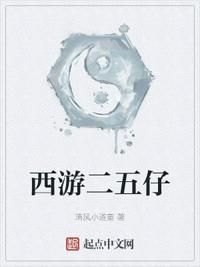 二五仔是什么意思