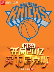 nba开局20亿买下尼克斯我是个帝帝