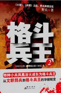 格斗兵王2正版