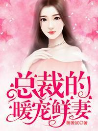 总裁的二婚暖妻