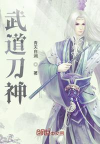 武道神医叶风