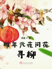 那年元夜问花寻柳百度