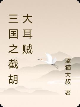 三国截胡大耳贼