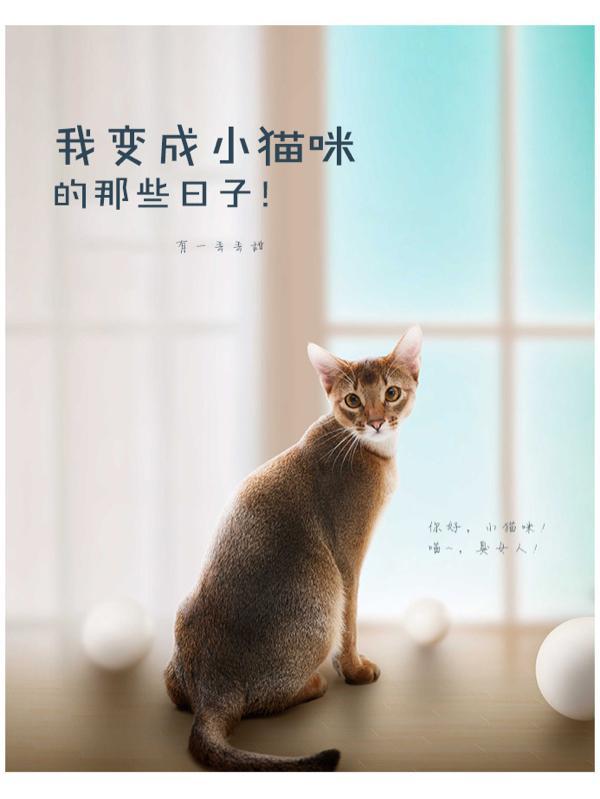 我变成了小猫作文300字三年级