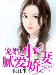 婚宠小娇妻