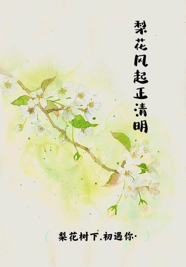 梨花风起正清明是什么节气