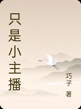 小主播是什么