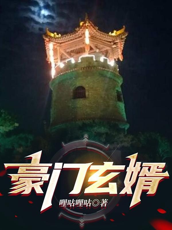 豪门霸婿