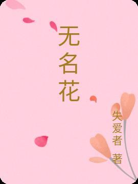 无名花了多少钱