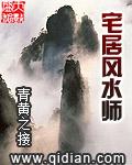 宅居风水师奇书网