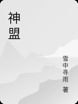 神盟什么意思