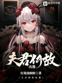 夫君何故出逃精校版