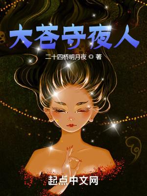 大苍守夜人无错版