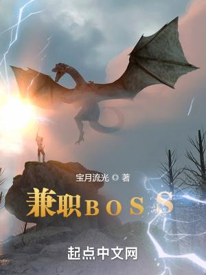 兼职boss无错字