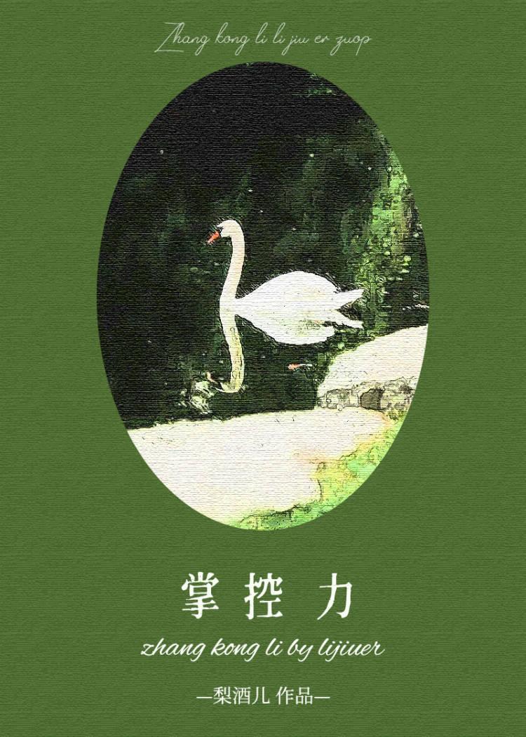 掌控力又名叫什么